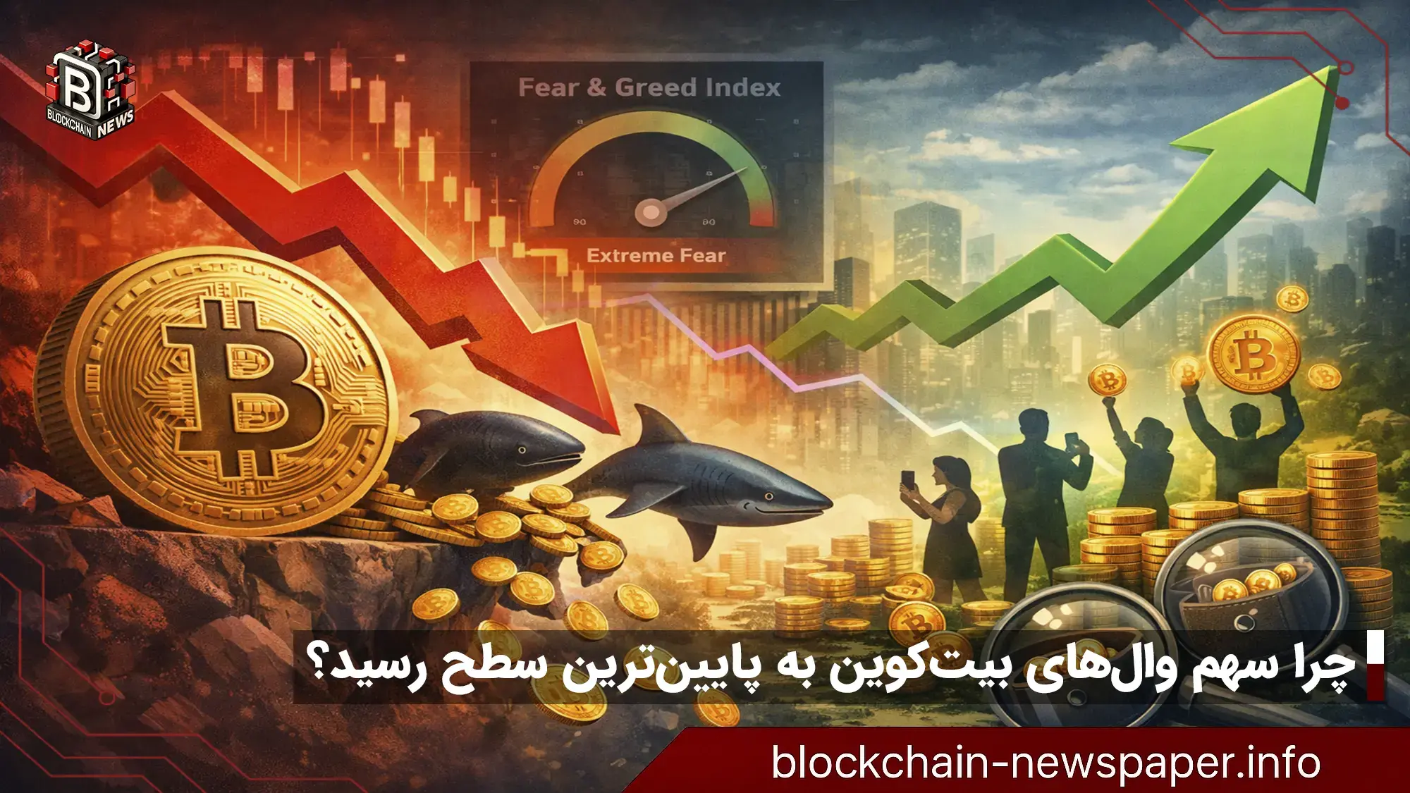 چرا سهم والهای بیتکوین به پایینترین سطح رسید؟